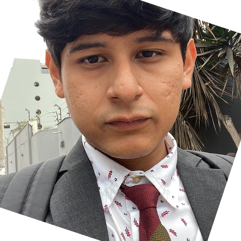 sebas_perfil